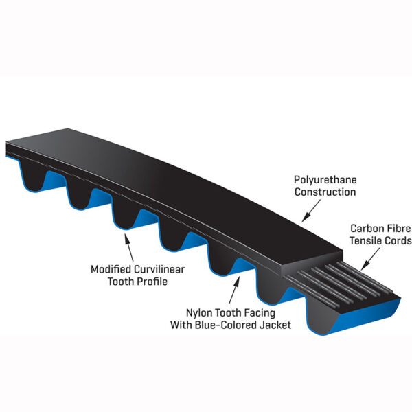 Polychain GT Carbon 8MGT Short Length